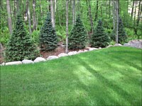 Bed Edging and Borders