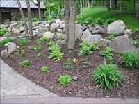 Planting and Bed Installation