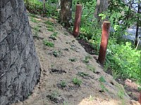 Shoreline Restoration