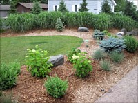 Planting and Bed Installation