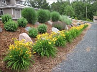 Planting and Bed Installation