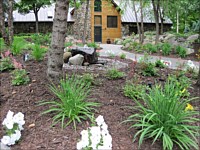 Planting and Bed Installation