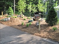 Planting and Bed Installation