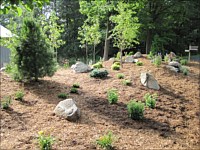 Planting and Bed Installation