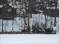 Shoreline Restoration