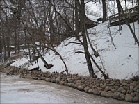 Shoreline Restoration