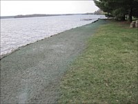 Shoreline Restoration