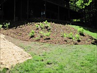 Shoreline Restoration