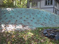 Shoreline Restoration