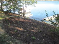 Shoreline Restoration