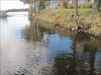 Shoreline Restoration