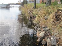 Shoreline Restoration