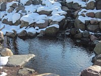 Water Features