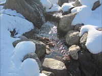 Water Features