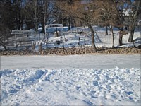 Shoreline Restoration