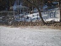 Shoreline Restoration