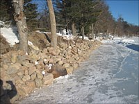 Shoreline Restoration