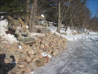 Shoreline Restoration