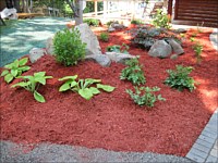 Planting and Bed Installation