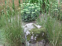 Planting and Bed Installation