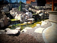 Water Features